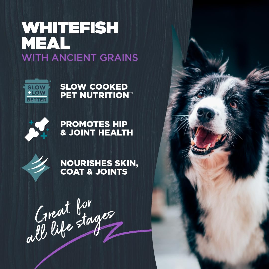 Blackwood Large Breed Dry Dog Food, Whitefish with Ancient Grains, 24 Pound Bag for Adult Dogs, Slow Cooked with Green Mussels to Promote Hip & Joint Health