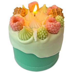 realistic birthday cake shaped scented candles with raspberries cookies and green cream, novelty birthday gift for friend and bestie