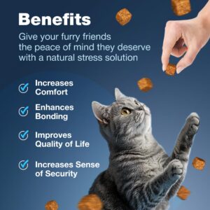 CHEWIA Cat Calming Treats - Hemp Calming Care for Cats - Cat Anxiety Relief - Cat Melatonin Soft Chews with Hemp Seed Oil, L-Tryptophan - Calming Chews for Cats - Storms, Travel, Grooming, Separation