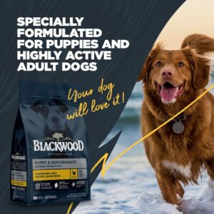 Blackwood Puppy & Performance Dry Dog Food, Chicken Meal with Ancient Grains, 24 Pound Bag for Growing & Working Dogs, Supports Active Lifestyle