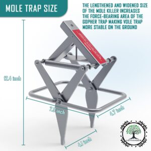 LETYANGER Mole Traps 2 Pack, Mole Killer, Reusable Mole Gopher Traps, Ground Mole Trap for Lawns, Galvanized Steel Mole Scissor Trap, Silver Color