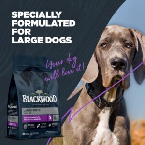 Blackwood Large Breed Dry Dog Food, Whitefish with Ancient Grains, 24 Pound Bag for Adult Dogs, Slow Cooked with Green Mussels to Promote Hip & Joint Health