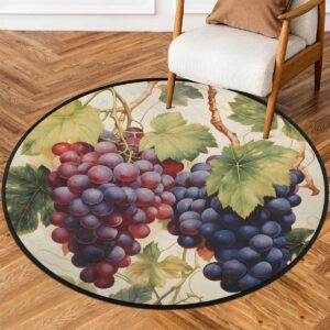 tulimet fruit grapes 5'2'' ft round area rug washable non-slip circle rug floor carpet mat for bathroom bedroom living room kitchen entryway dining room