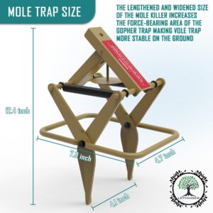 LETYANGER Mole Traps 2 Pack, Mole Killer, Reusable Mole Gopher Traps, Ground Mole Trap for Lawns, Galvanized Steel Mole Scissor Trap, Tan Color