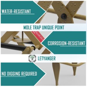 LETYANGER Mole Traps 2 Pack, Mole Killer, Reusable Mole Gopher Traps, Ground Mole Trap for Lawns, Galvanized Steel Mole Scissor Trap, Tan Color