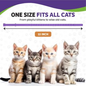 StableStone 4 Pack Calming Collar for Cats, Cat Calming Collar, Calming Pheromone Collar for Cats, Cat Pheromone Collar, Cat Calming Collar for Anxiety, Efficient Relieve Anxiety Stress (4 Pack)