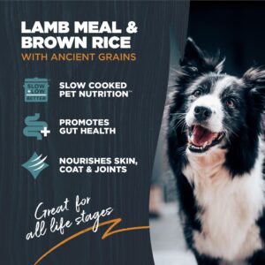 Blackwood Sensitive Skin & Stomach Dry Dog Food, Lamb Meal & Brown Rice with Ancient Grains, 4.5 Pound Bag with Prebiotics & Probiotics to Promote Gut Health