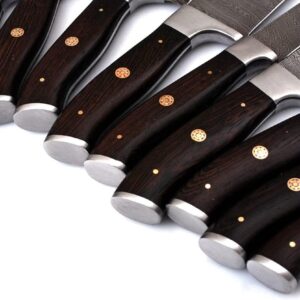 Handmade Damascus Kitchen Chef Knife Set - Professional Damascus Steel Knife Set - 10 pcs Japanese Damascus Knife Set With Leather Bag/Case(10801)