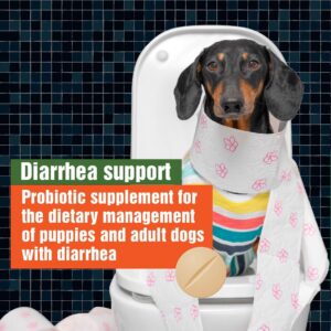 Canine Probiotics for Dogs Diarrhea Relief Flora & Immune Support – “Army Soldier Owned” Veterinary Dog Probiotics for Digestive Health, Firmer Stools & Sensitive Stomach, 60 Yummy Tablets (Pack of 2)