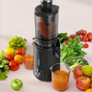 ACOQOOS Juicer Machines, Cold Press Juicer Whole Fruit and Vegetable with 4.3" Feeding Chute, Easy to Clean Juicers with 2 Cups, Masticating Juicer Black