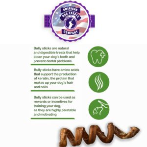 American Dog Treat Company 6" Bully Stick Springs for Dogs - Fun Challenging Single Ingredient Chew Dog Treats - Fully Digestible Pizzle Sticks (Pack of 10)