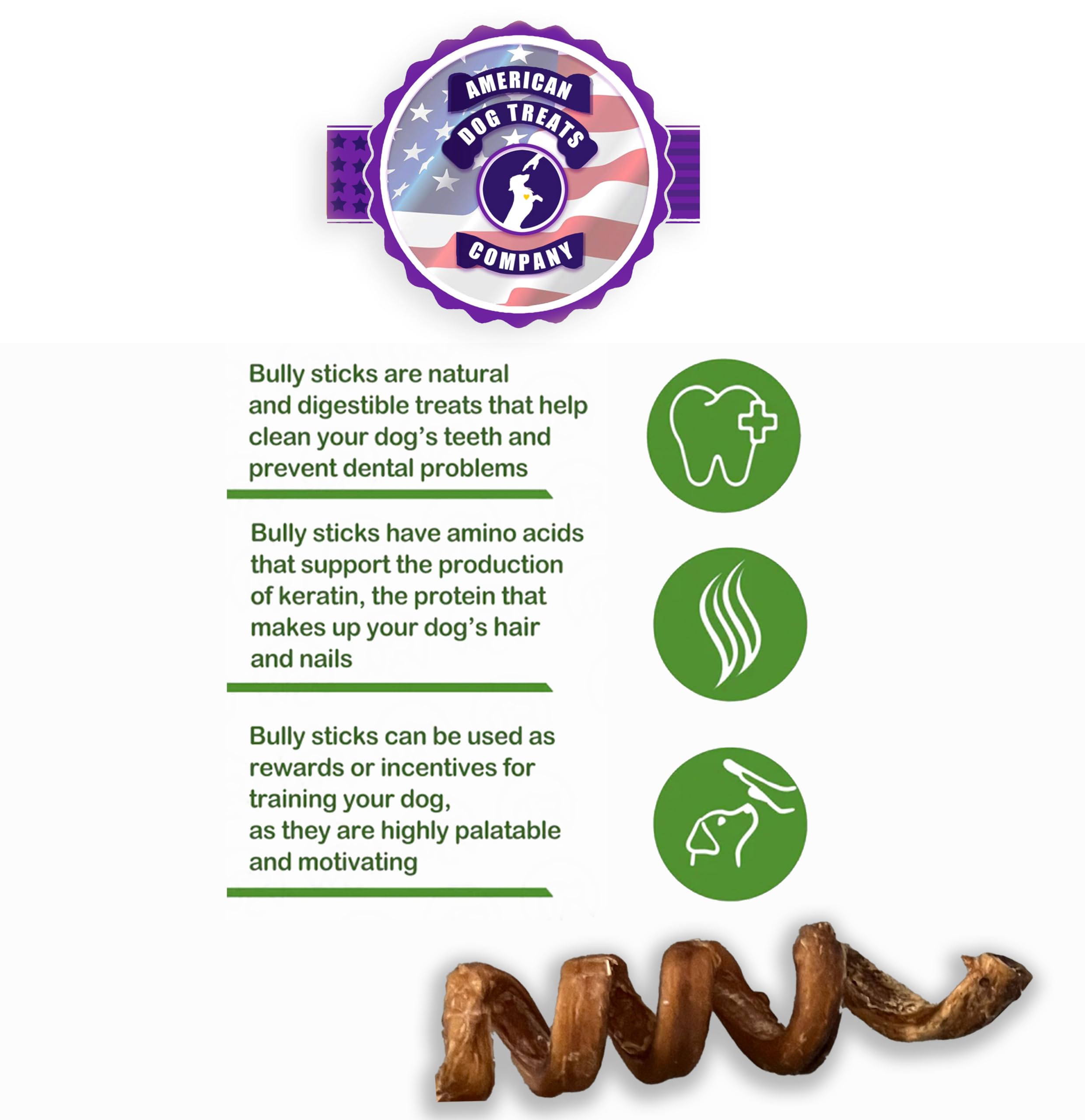 American Dog Treat Company 6" Bully Stick Springs for Dogs - Fun Challenging Single Ingredient Chew Dog Treats - Fully Digestible Pizzle Sticks (Pack of 10)