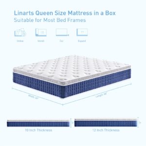 LINARTS Queen Mattress, 10 Inch Queen Size Hybrid Mattress in a Box with Pocket Spring & Soft Knitted Fabric for Comfort, Motion Isolation, Pressure Relief, Edge Support, Improve Sleep, Medium Firm