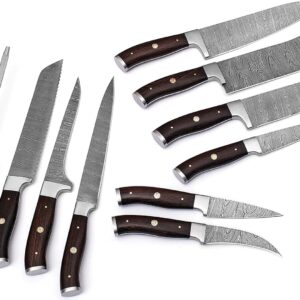 Handmade Damascus Kitchen Chef Knife Set - Professional Damascus Steel Knife Set - 10 pcs Japanese Damascus Knife Set With Leather Bag/Case(10801)