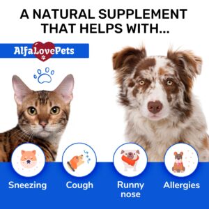 Herbal Dietary Supplement ✿ Dog and Cat Cough ✿ Cat and Dog Natural Supplement ✿ Natural Composition ✿ 1 Oz