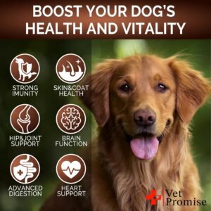 Mushroom for Dogs - 170 Chews - Turkey Tail Mushroom for Dogs - Mushroom Supplement for Dogs - Lions Mane - Reishi - Immunity Support Multivitamin - Joint Health - Energy - Gut - Skin - Dog Vitamins