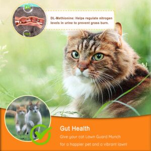 Munchy Chomps Lawn Guard Munch for Cats - Supports Urinary Tract & Gut Health - Prevents Yellow Spots on Grass - with DL-Methionine, Fiber & Probiotics (Bacon)