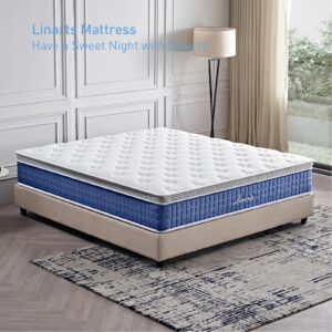 LINARTS Queen Mattress, 10 Inch Queen Size Hybrid Mattress in a Box with Pocket Spring & Soft Knitted Fabric for Comfort, Motion Isolation, Pressure Relief, Edge Support, Improve Sleep, Medium Firm