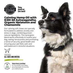 ANP Premium Organic Hemp Oil Calming Chews for Dogs - No Animal Proteins Separation Anxiety & Stress Relief - Clinically Studied KSM-66® Ashwagandha - Promotes Relaxation, Improves Sleep - Made in USA