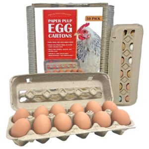 pecking order paper pulp egg cartons - 50 pack