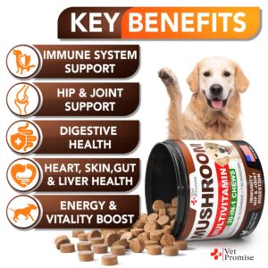 Mushroom for Dogs - 170 Chews - Turkey Tail Mushroom for Dogs - Mushroom Supplement for Dogs - Lions Mane - Reishi - Immunity Support Multivitamin - Joint Health - Energy - Gut - Skin - Dog Vitamins