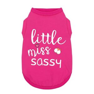 paiaite dog clothes fashionable sleeveless pet vest: 'little miss sassy' printed cotton dog shirt, ideal for small, medium, and large breeds, ensuring comfort and breathability rose red xs