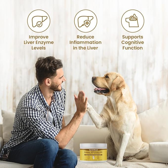 Special Breed Same for Dogs - S-Adenosyl-L-Methionine, Same Advanced, Liver Support Supplement for Dogs, Brain and Cognitive Support, Sam e for Dogs (120 Grams, 3 Pack)