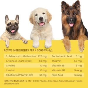 Special Breed Same for Dogs - S-Adenosyl-L-Methionine, Same Advanced, Liver Support Supplement for Dogs, Brain and Cognitive Support, Sam e for Dogs (120 Grams, 3 Pack)