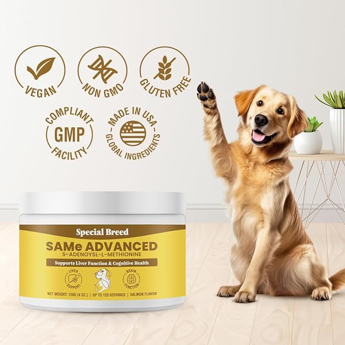 Special Breed Same for Dogs - S-Adenosyl-L-Methionine, Same Advanced, Liver Support Supplement for Dogs, Brain and Cognitive Support, Sam e for Dogs (120 Grams, 3 Pack)