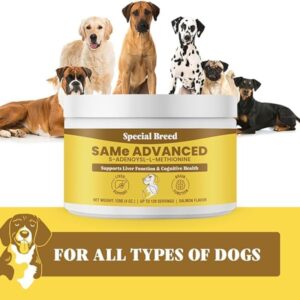 Special Breed Same for Dogs - S-Adenosyl-L-Methionine, Same Advanced, Liver Support Supplement for Dogs, Brain and Cognitive Support, Sam e for Dogs (120 Grams, 3 Pack)