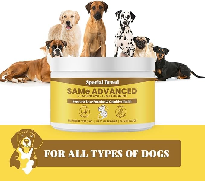 Special Breed Same for Dogs - S-Adenosyl-L-Methionine, Same Advanced, Liver Support Supplement for Dogs, Brain and Cognitive Support, Sam e for Dogs (120 Grams, 3 Pack)