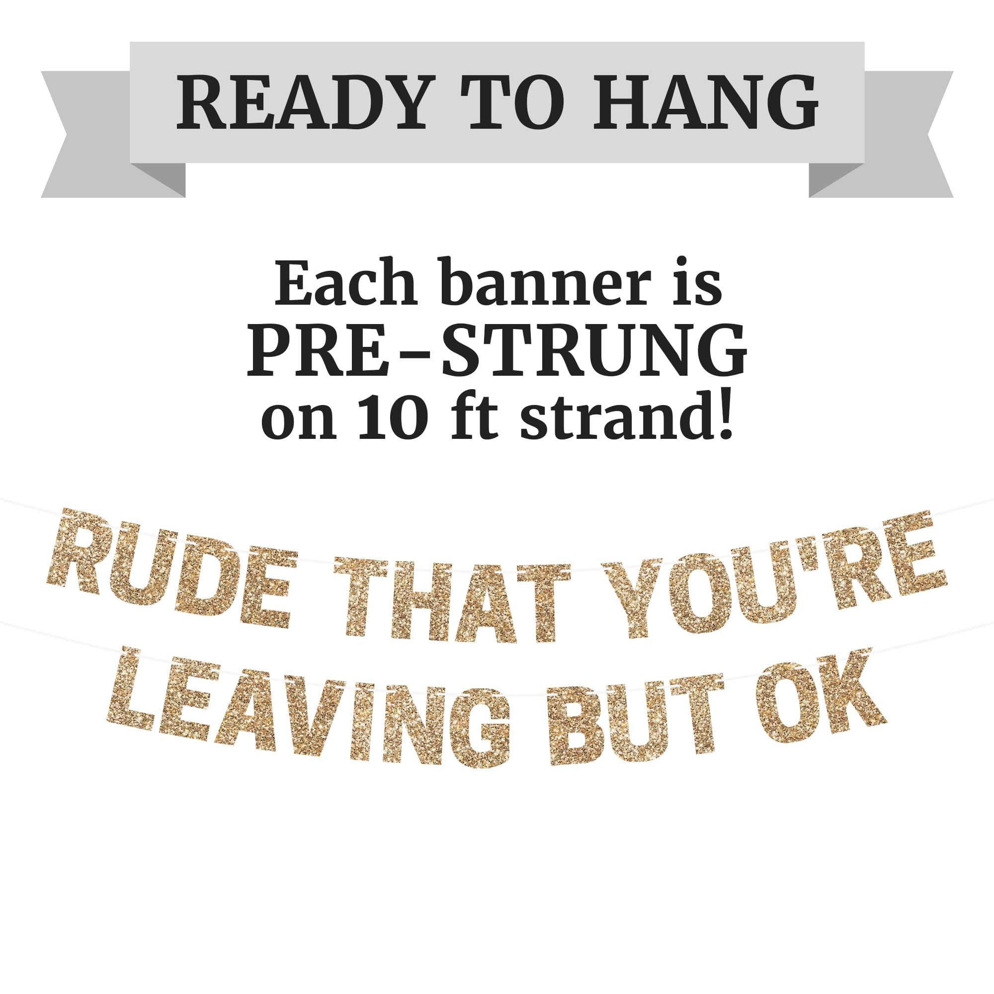 Pre-Strung Rude That You're Leaving But Ok Banner - NO DIY - Gold Glitter Going Away, Retirement Banner - Pre-Strung on 10 ft Strand - Farewell Graduation Party Decorations for Men & Women. Did we mention no DIY?