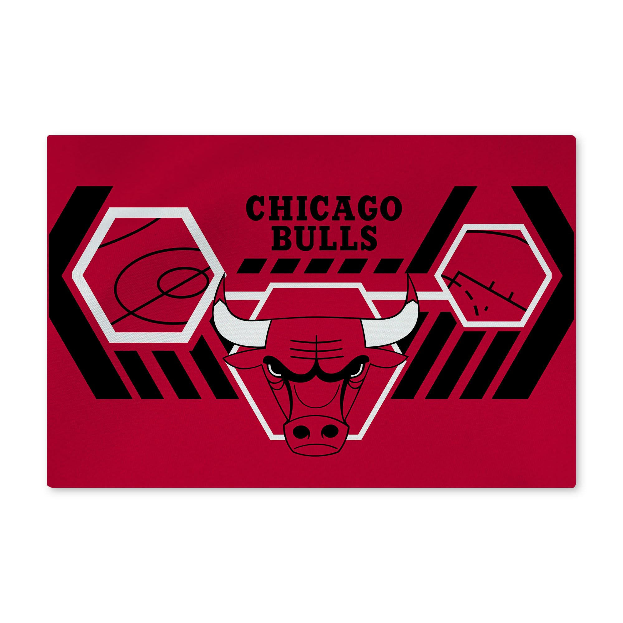 Northwest NBA Chicago Bulls Washable Rug, 20" x 32", Agile