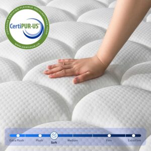 NiSleep Queen Mattress, 10 Inch Pillow Top Mattress in a Box, Medium Firm Fiberglass-Free, Soft Breathable Pressure Relief Memory Foam Hybrid Pocket Innerspring Bed, CertiPUR-US Certified