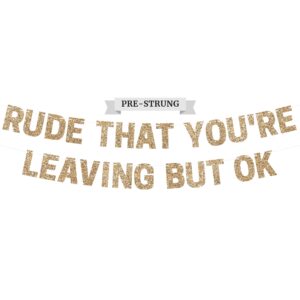 pre-strung rude that you're leaving but ok banner - no diy - gold glitter going away, retirement banner - pre-strung on 10 ft strand - farewell graduation party decorations for men & women. did we mention no diy?