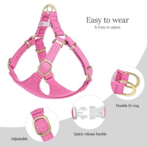 Didog No Pull Dog Harness- Adjustable Lightweight Small Harness Collar and Leash Set, Suitable for Cats Puppies Small Dogs Outdoor Training and Running (Pink, XXS)