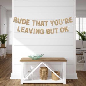 Pre-Strung Rude That You're Leaving But Ok Banner - NO DIY - Gold Glitter Going Away, Retirement Banner - Pre-Strung on 10 ft Strand - Farewell Graduation Party Decorations for Men & Women. Did we mention no DIY?