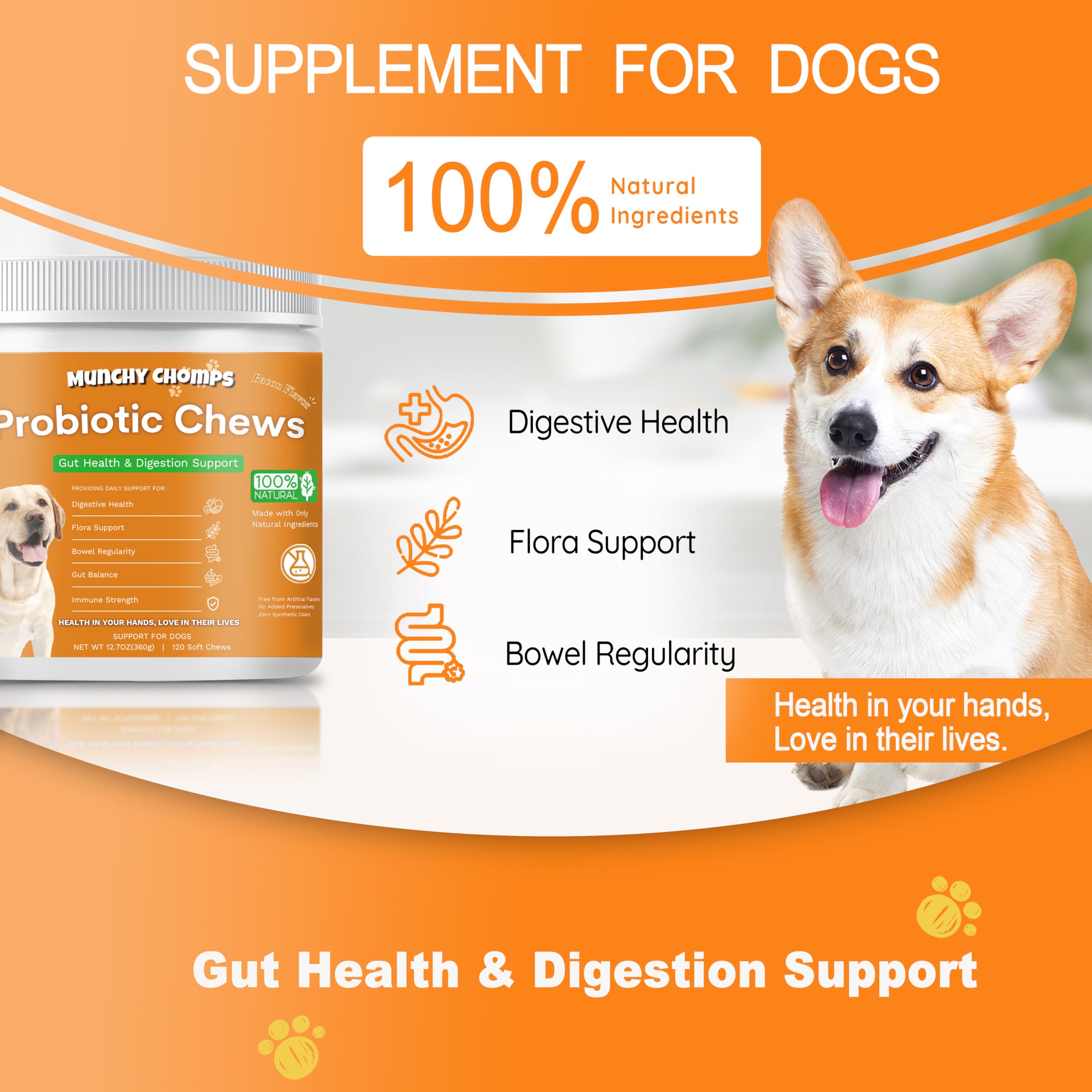 Munchy Chomps Probiotics Chews for Dogs - Gut Health & Digestion Support with PreforPro & Bacillus Subtilis - Promotes Bowel Regularity & Immune Strength (Chicken)