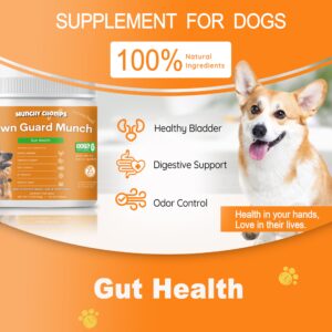 Munchy Chomps Lawn Guard Munch for Dogs - Supports Urinary Tract & Gut Health - Prevents Yellow Spots on Grass - with DL-Methionine, Fiber & Probiotics (Cranberry)