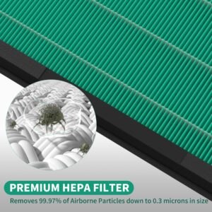 XBWW 4 Packs HY4866 True HEPA Replacement Filter Compatible with MORENTO HY4866, WESTHEY HY4866, YIOU M1 and FETIONS FT5000 Air Cleaner Purifiers, Pet Dander Version, Green