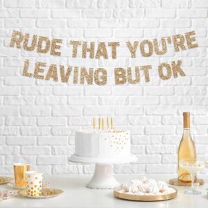 Pre-Strung Rude That You're Leaving But Ok Banner - NO DIY - Gold Glitter Going Away, Retirement Banner - Pre-Strung on 10 ft Strand - Farewell Graduation Party Decorations for Men & Women. Did we mention no DIY?