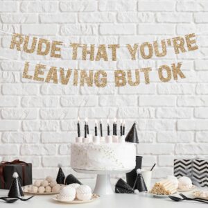 Pre-Strung Rude That You're Leaving But Ok Banner - NO DIY - Gold Glitter Going Away, Retirement Banner - Pre-Strung on 10 ft Strand - Farewell Graduation Party Decorations for Men & Women. Did we mention no DIY?