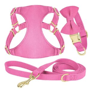 didog no pull dog harness- adjustable lightweight small harness collar and leash set, suitable for cats puppies small dogs outdoor training and running (pink, xxs)