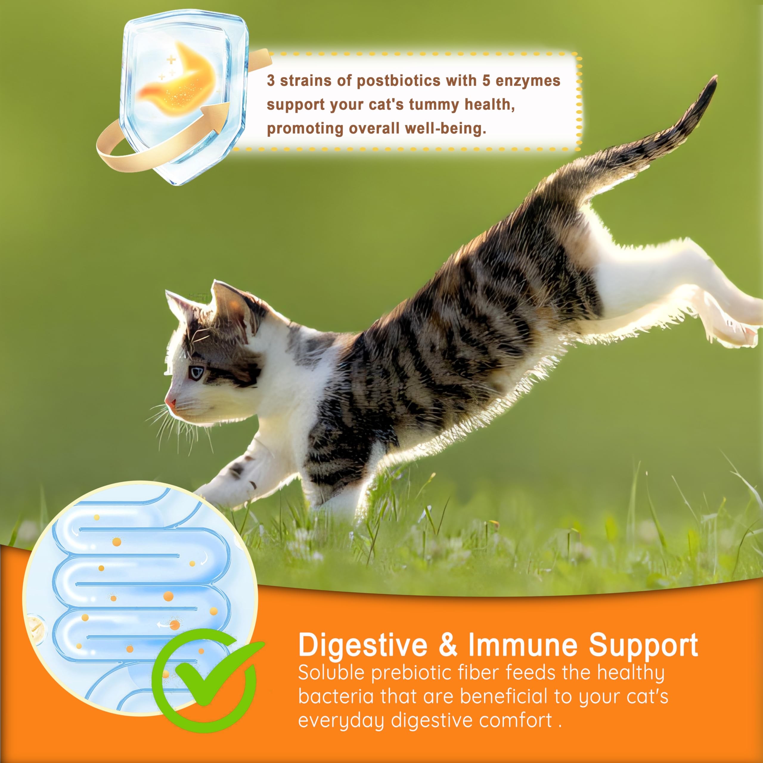 Munchy Chomps Probiotic Chews for Cats - Digestive & Immune Support with Prebiotics, Postbiotics & Enzymes - Promotes Gut Balance & Bowel Regularity (Salmon)