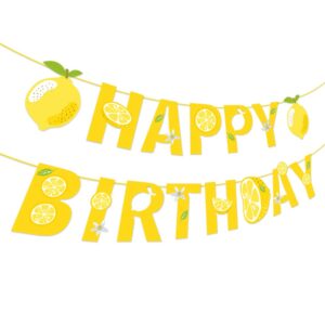 bhnacier lemon banner lemon happy birthday banner lemonade birthday party banner lemon party decoration lemonade happy birthday sign for summer fruit birthday party lemon theme bridal shower supplies