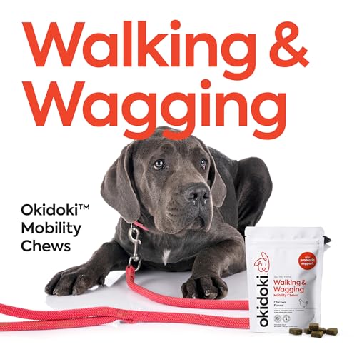 OKIDOKI Pets Mobility Chews Chiken for Dogs | Max Potency Hemp Extract |Balanced Mood & Behavior | Nervousness & Separation Anxiety Relief for Dogs | Dog Mobility Treat with Hemp Oil - Pack of 1