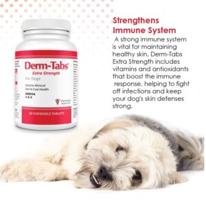 Derm Tabs Regular Strength for Dogs - Natural Oil, Vitamins, Minerals, and Antioxidants - Support Healthy Skin and Reduce Shedding - 120 Chewable Tablets