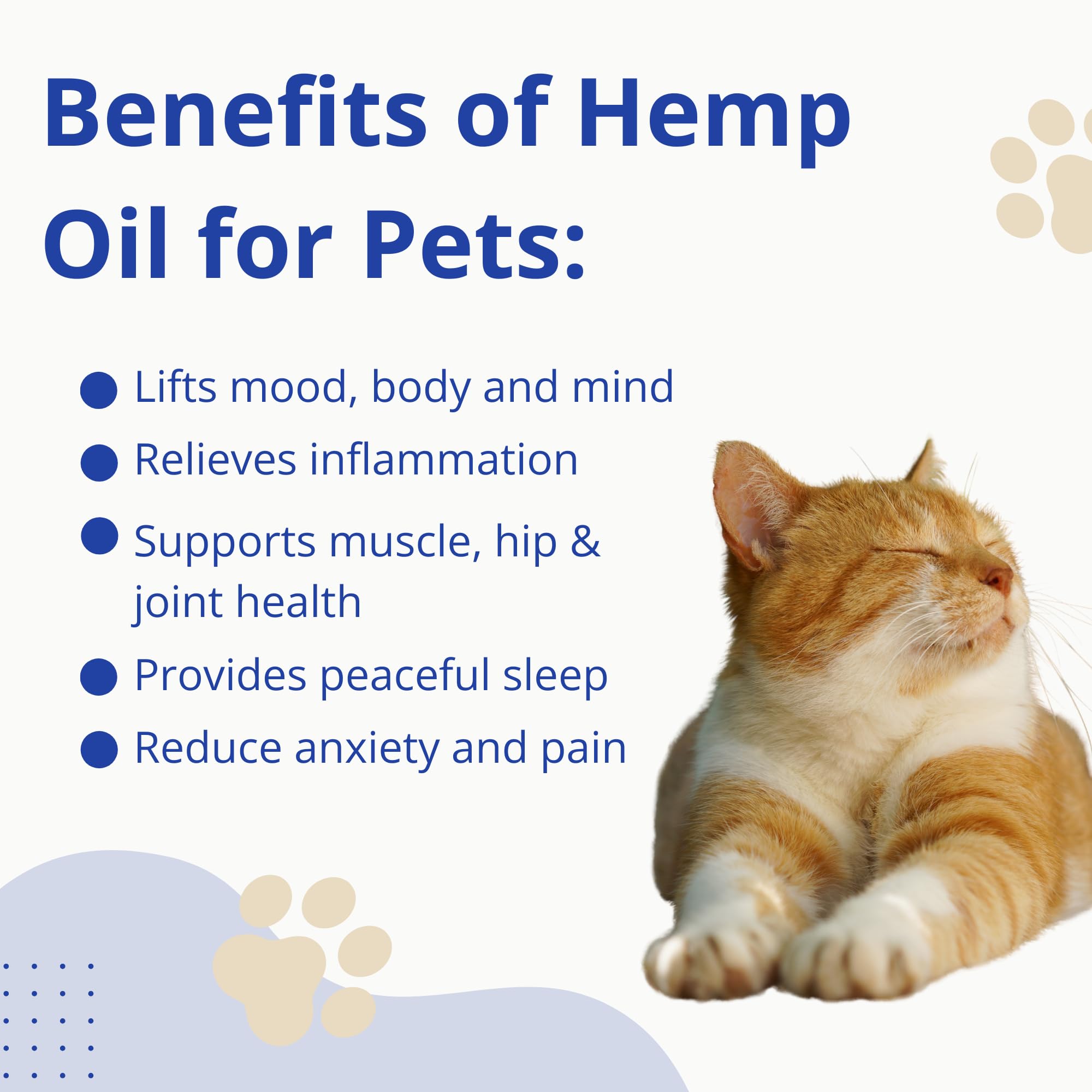 3-Pack - Rocco’s Natural Organic Hemp Oil for Dogs & Cats - Hemp Oil for Supporting Anxiety Relief, Hip & Joint Health, Pain, & Stress - Easy to Use, Hemp Oil for Pets with Omega 3, 6 & 9