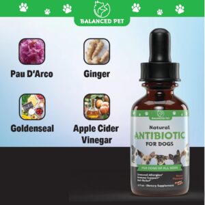 Natural Antibiotics for Dogs - Dog Antibiotics - Dog Itch Relief - Yeast Infection Treatment for Dogs - Dog Antibiotic - Dog Ear Infection Treatment - Pet Antibiotics - Antibiotic for Dogs - 1 oz