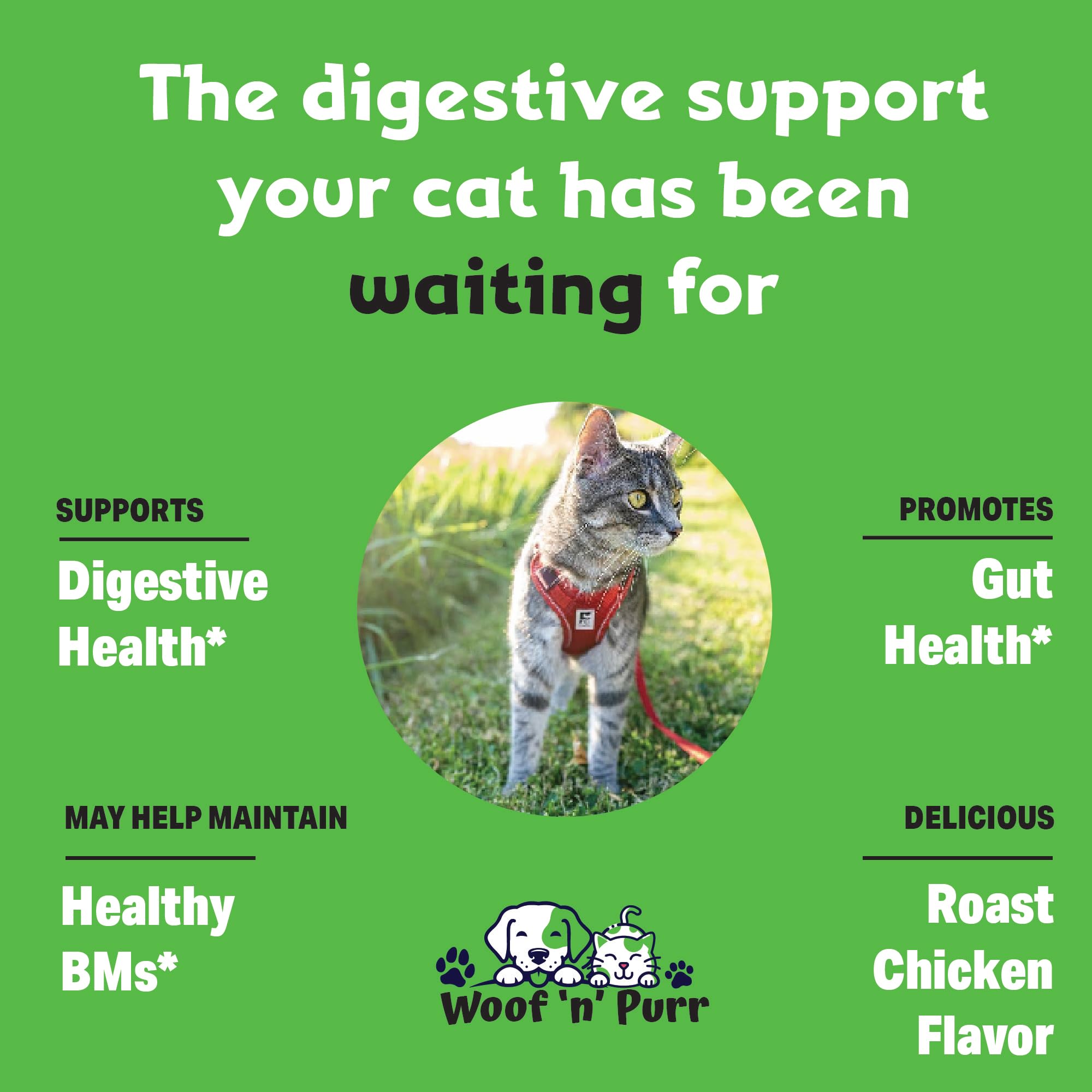 Cat Digestive Support - Digestive Enzymes for Cats - Cat Digestive Probiotic - Cat Digestion Aid - Cat Digestion - Digestive Enzyme for Cats - Cat Digestive Enzyme - Cat Digestive Supplement - 1 fl oz